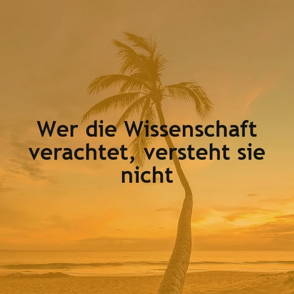 Ein einsamer Palmbaum am Strand während eines goldenen Sonnenuntergangs mit dem Zitat 'Wer die Wissenschaft verachtet, versteht sie nicht' im Vordergrund