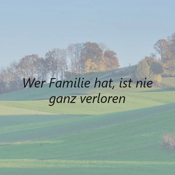Ein inspirierendes Bild zeigt grüne Hügel und Bäume unter blauem Himmel. Darauf der Spruch: „Wer Familie hat, ist nie ganz verloren“, was Halt und Hoffnung symbolisiert.
