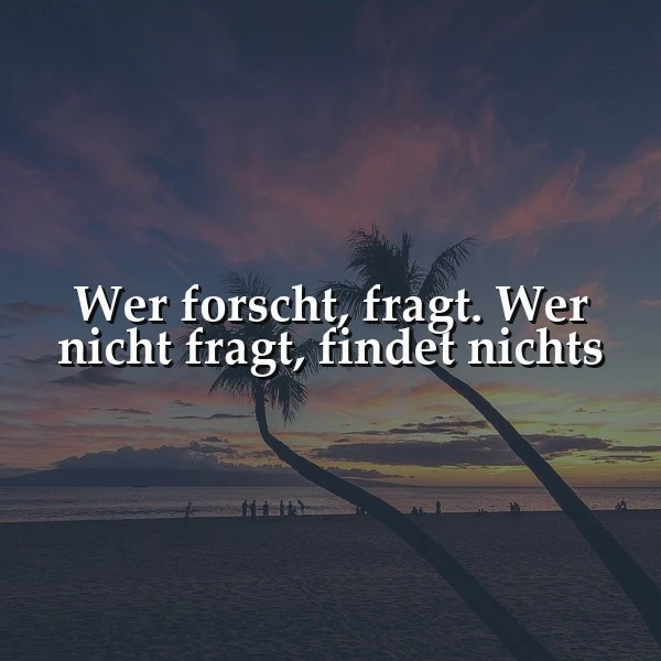 Palmen am Strand bei Sonnenuntergang. Der Himmel leuchtet in Purpur und Orange. Das Zitat: Wer forscht, fragt. Wer nicht fragt, findet nichts, inspiriert zur ständigen Suche und Entdeckung.
