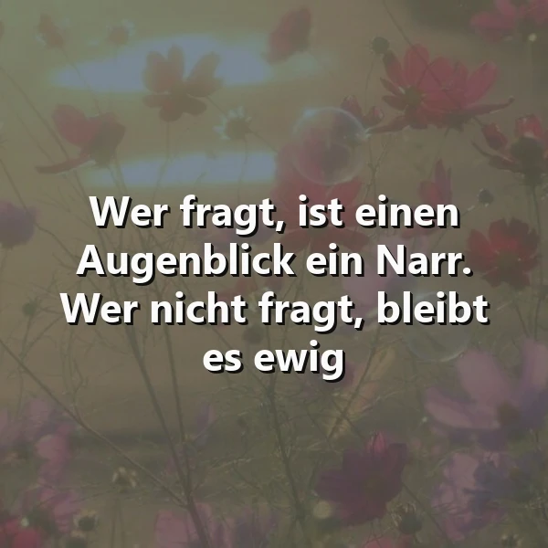 Zartes Bild von roten und violetten Kosmeen im weichen Fokus. Der weiße Spruch "Wer fragt, ist einen Augenblick ein Narr. Wer nicht fragt, bleibt es ewig" steht prominent im Mittelpunkt. Es vermittelt eine nachdenkliche, aber inspirierende Atmosphäre.