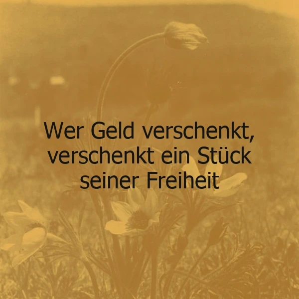 Sepia-getöntes Bild mit blühenden, zarten Blumen in einer Wiese, darüber der tiefgründige Spruch: Wer Geld verschenkt, verschenkt ein Stück seiner Freiheit. Die Atmosphäre wirkt nachdenklich und inspirierend.