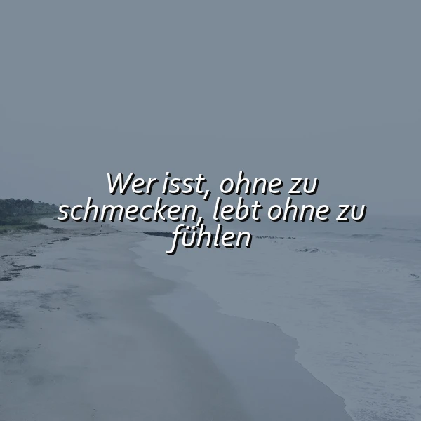 Ein grauer, nebliger Strand mit Wellen, die sanft ans Ufer schlagen. Im Vordergrund ist ein Zitat in weißer Schrift zu sehen: 'Wer isst, ohne zu schmecken, lebt ohne zu fühlen'. Die Atmosphäre ist ruhig und melancholisch.