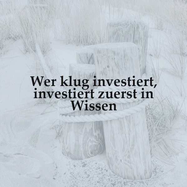 Ein winterliches Landschaftsbild mit drei Baumstümpfen, über denen ein Seil liegt. Im Hintergrund sind einige Gräser und Büsche zu sehen. Der gesamte Bild ist in einer kalten, winterlichen Farbgebung gehalten.