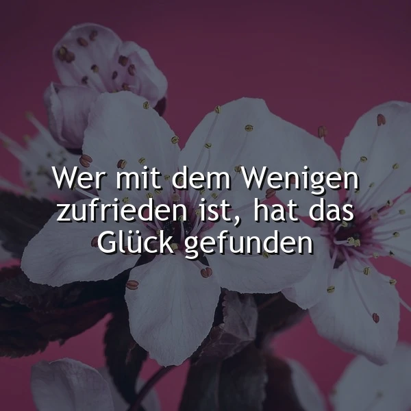 Zarte weiße Blüten auf einem magenta-farbenen Hintergrund umrahmen den Spruch "Wer mit dem Wenigen zufrieden ist, hat das Glück gefunden". Das Bild vermittelt eine Botschaft von tiefer Zufriedenheit und innerem Glück durch Bescheidenheit.