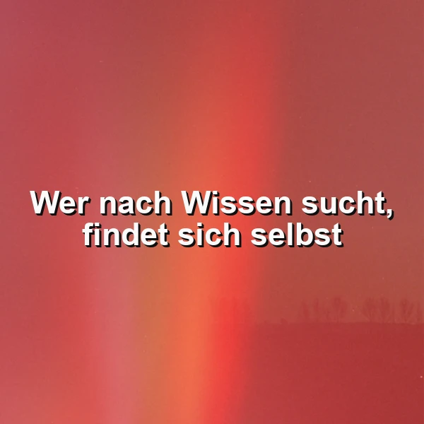 Inspirierendes Spruchbild auf warmem, rot-orangefarbenem Hintergrund. Das Zitat 'Wer nach Wissen sucht, findet sich selbst' in weißer Schrift lädt zur Selbstreflexion ein und vermittelt tiefe Erkenntnis.