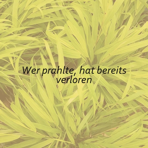 Ein Bild mit grünen, langen Grasblättern. In der Mitte steht in schwarzer Schrift: 'Wer prahlte, hat bereits verloren'. Die Stimmung ist ruhig und natürlich.