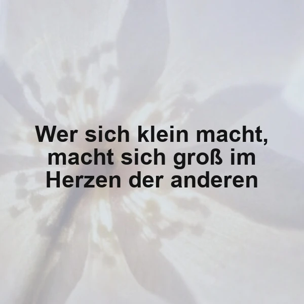 Ein unscharfes, aber elegantes Bild einer weißen Blume mit einem zentralen Text, der die Bedeutung von Bescheidenheit hervorhebt.