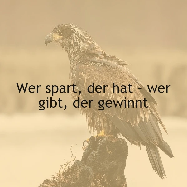 Ein Adler sitzt auf einem Felsen, im Hintergrund eine verschwommene Landschaft. Der Adler blickt in die Ferne. Das Bild ist in warmen, goldenen Tönen gehalten.