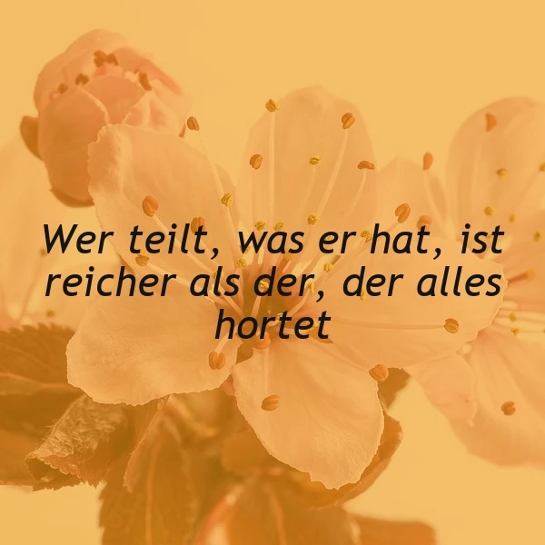 Ein zartes Blütenbild in warmen Orangetönen, auf dem der inspirierende Spruch "Wer teilt, was er hat, ist reicher als der, der alles hortet" in dunklen Buchstaben steht. Die friedliche Atmosphäre lädt zum Nachdenken ein.
