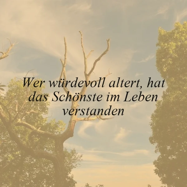 Ein inspirierendes Bild zeigt abgestorbene und grüne Baumzweige vor einem sanften Himmel. Es trägt die Weisheit: Wer würdevoll altert, hat das Schönste im Leben verstanden. Symbolisiert Wachstum und Vergänglichkeit.
