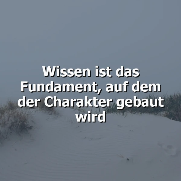 Ein inspirierendes Zitat auf dem Bild, das 'Wissen ist das Fundament, auf dem der Charakter gebaut wird' lautet, vor einem Hintergrund von weichen Sanddünen und spärlichem Gras, gehüllt in eine neblige, ruhige Atmosphäre.