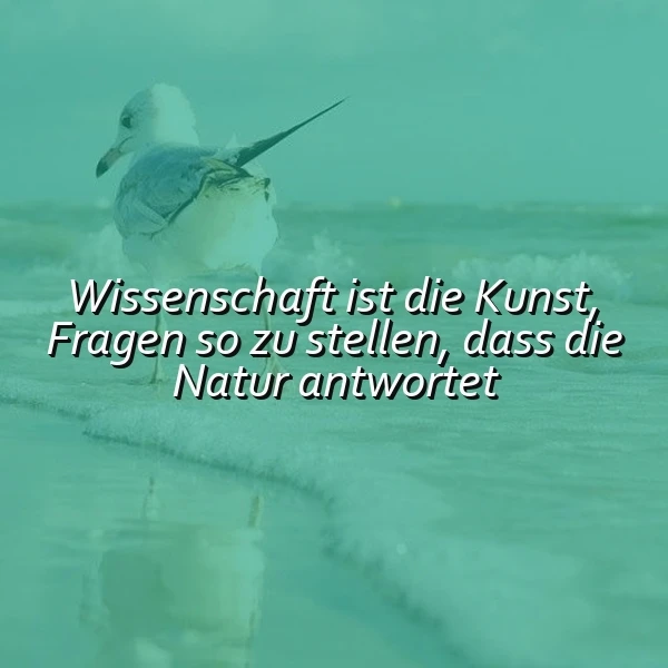 Ein Vogel am Strand, der einen Fisch im Schnabel hält, während Wellen sanft an den Ufer schlagen. Das Meer ist grünlich blau und spiegelt die Küste wider. Der Text 'Wissenschaft ist die Kunst, Fragen so zu stellen, dass die Natur antwortet' ist über das Bild gelegt.