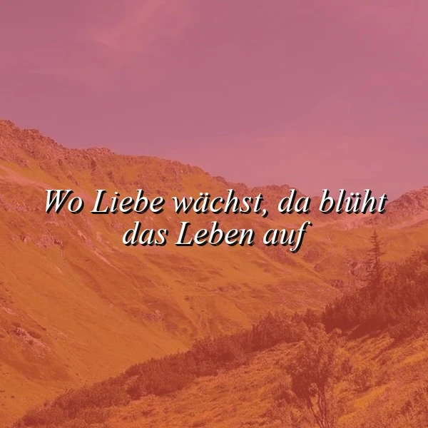 Ein Bergpanorama mit einer rosafarbenen Farbgebung, im Vordergrund ein Hügel mit Bäumen und im Hintergrund eine Bergkulisse, das Zitat 'Wo Liebe wächst, da blüht das Leben auf' in weißer Schrift