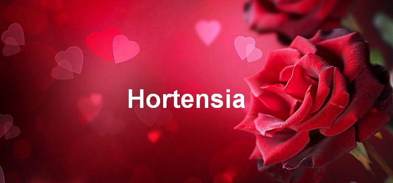 Bilder mit namen Hortensia - Bilder mit namen Hortensia