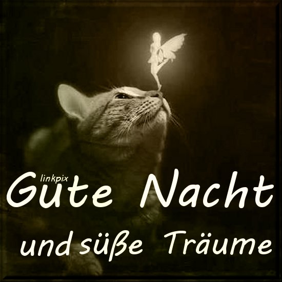 gute nacht bilder für whatsapp kostenlos Bilder und Sprüche für Whatsapp und Facebook kostenlos