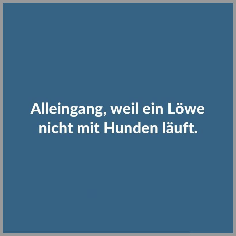 Alleingang Weil Ein Loewe Nicht Mit Hunden Laeuft Bilder Und Spruche Fur Whatsapp Und Facebook Kostenlos