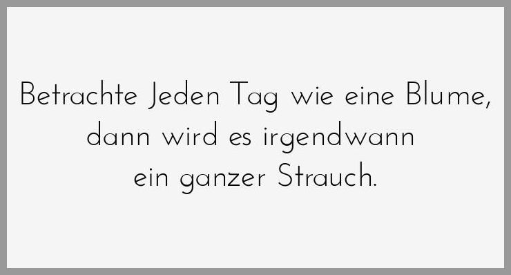 Betrachte jeden tag wie eine blume dann wird es irgendwann ein ganzer strauch Betrachte jeden tag wie eine blume dann wird es irgendwann ein ganzer strauch - Betrachte jeden tag wie eine blume dann wird es irgendwann ein ganzer strauch