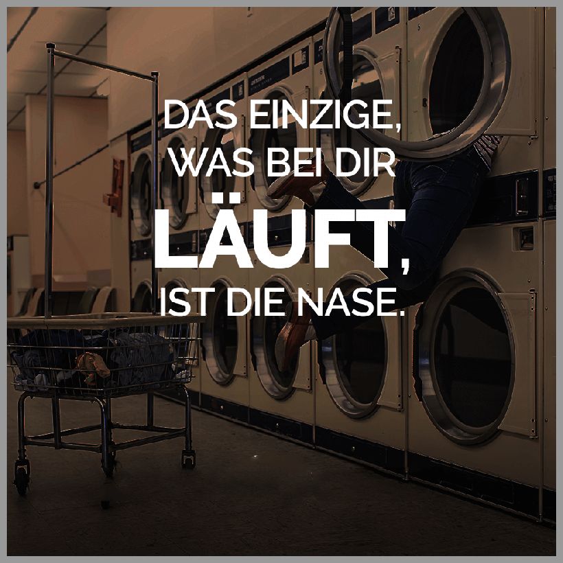 Das einzige was bei dir laeuft ist die nase Das einzige was bei dir laeuft ist die nase - Das einzige was bei dir laeuft ist die nase