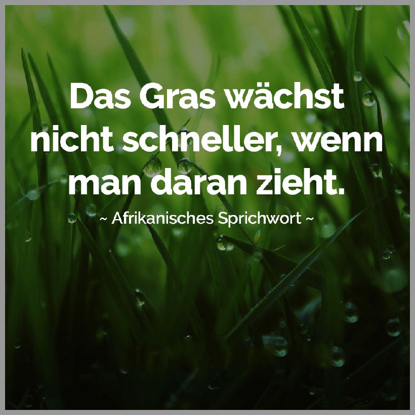 Das gras waechst nicht schneller wenn man daran zieht Das gras waechst nicht schneller wenn man daran zieht - Das gras waechst nicht schneller wenn man daran zieht