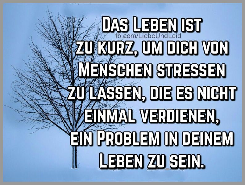 Get Das leben ist zu kurz um sprueche For iPhone