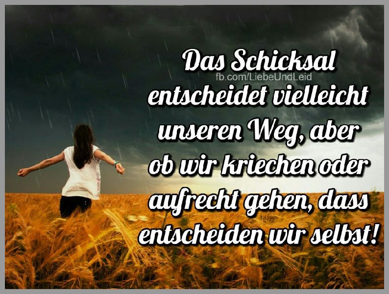 Download Sprueche schicksal krankheit For Android Free