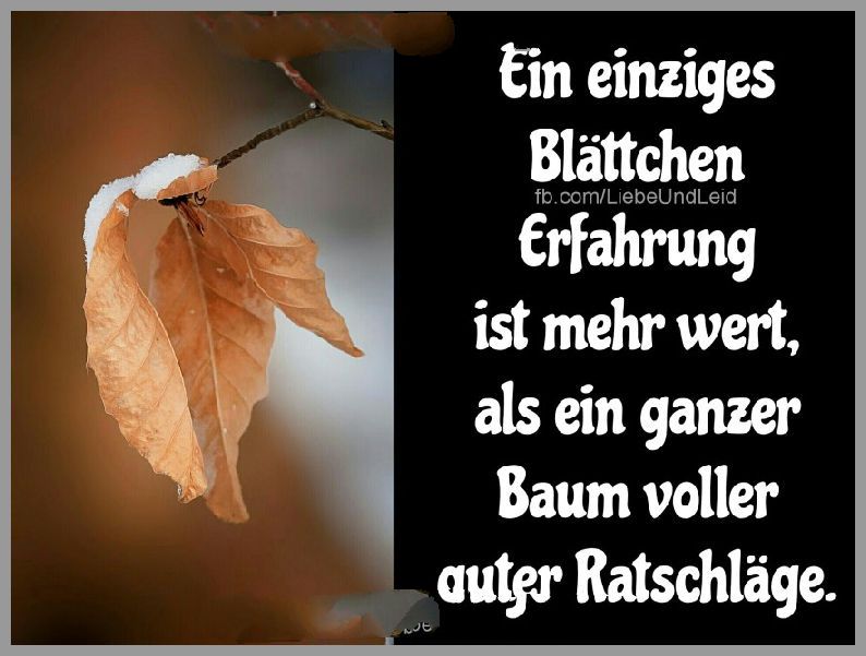 Download Erfahrung sprueche Desktop Wallpaper Free