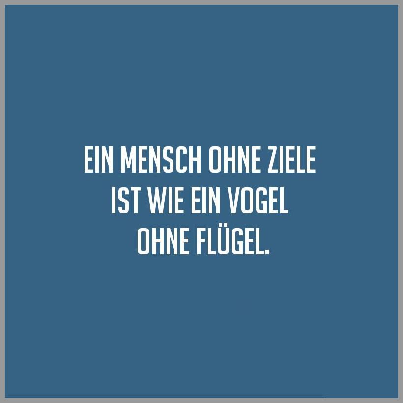 Ein mensch ohne ziele ist wie ein vogel ohne fluegel Ein mensch ohne ziele ist wie ein vogel ohne fluegel - Ein mensch ohne ziele ist wie ein vogel ohne fluegel