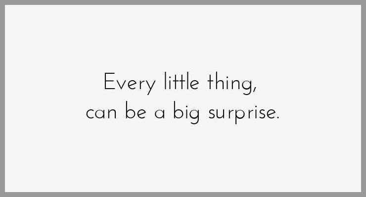 Every little thing can be a big surprise - Every little thing can be a big surprise