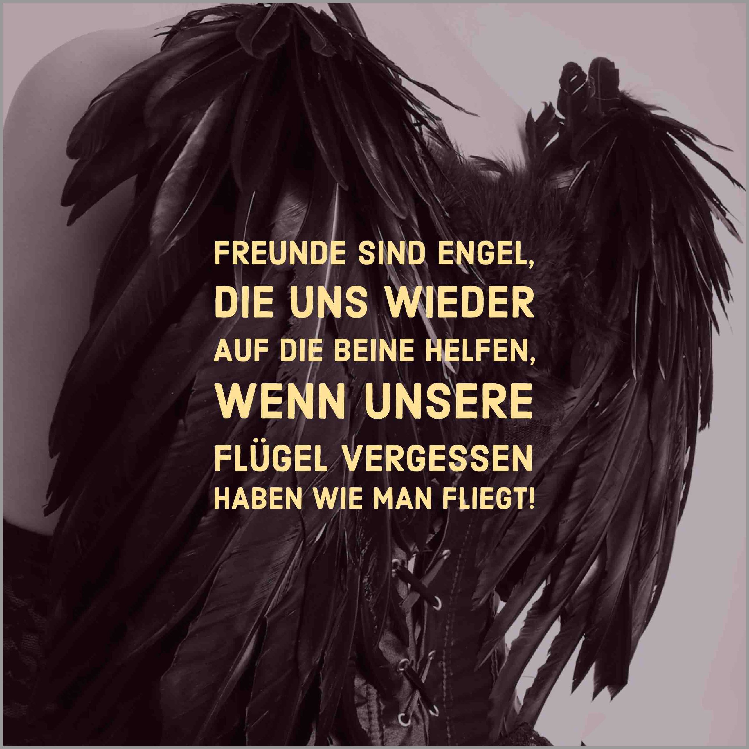 Freunde sind engel die uns wieder auf die beine helfen wenn unsere fluegel vergessen haben wie man fliegt Freunde sind engel die uns wieder auf die beine helfen wenn unsere fluegel vergessen haben wie man fliegt - Freunde sind engel die uns wieder auf die beine helfen wenn unsere fluegel vergessen haben wie man fliegt