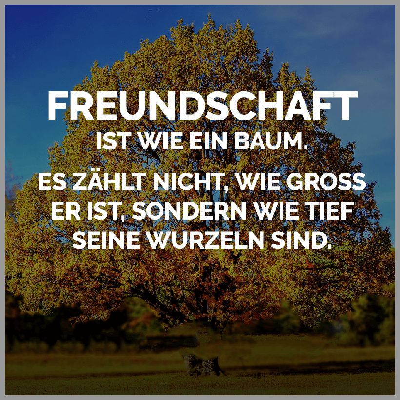 Freundschaft ist wie ein baum es zaehlt nicht wie gross er ist sondern wie tief seine wurzeln sind Freundschaft ist wie ein baum es zaehlt nicht wie gross er ist sondern wie tief seine wurzeln sind - Freundschaft ist wie ein baum es zaehlt nicht wie gross er ist sondern wie tief seine wurzeln sind