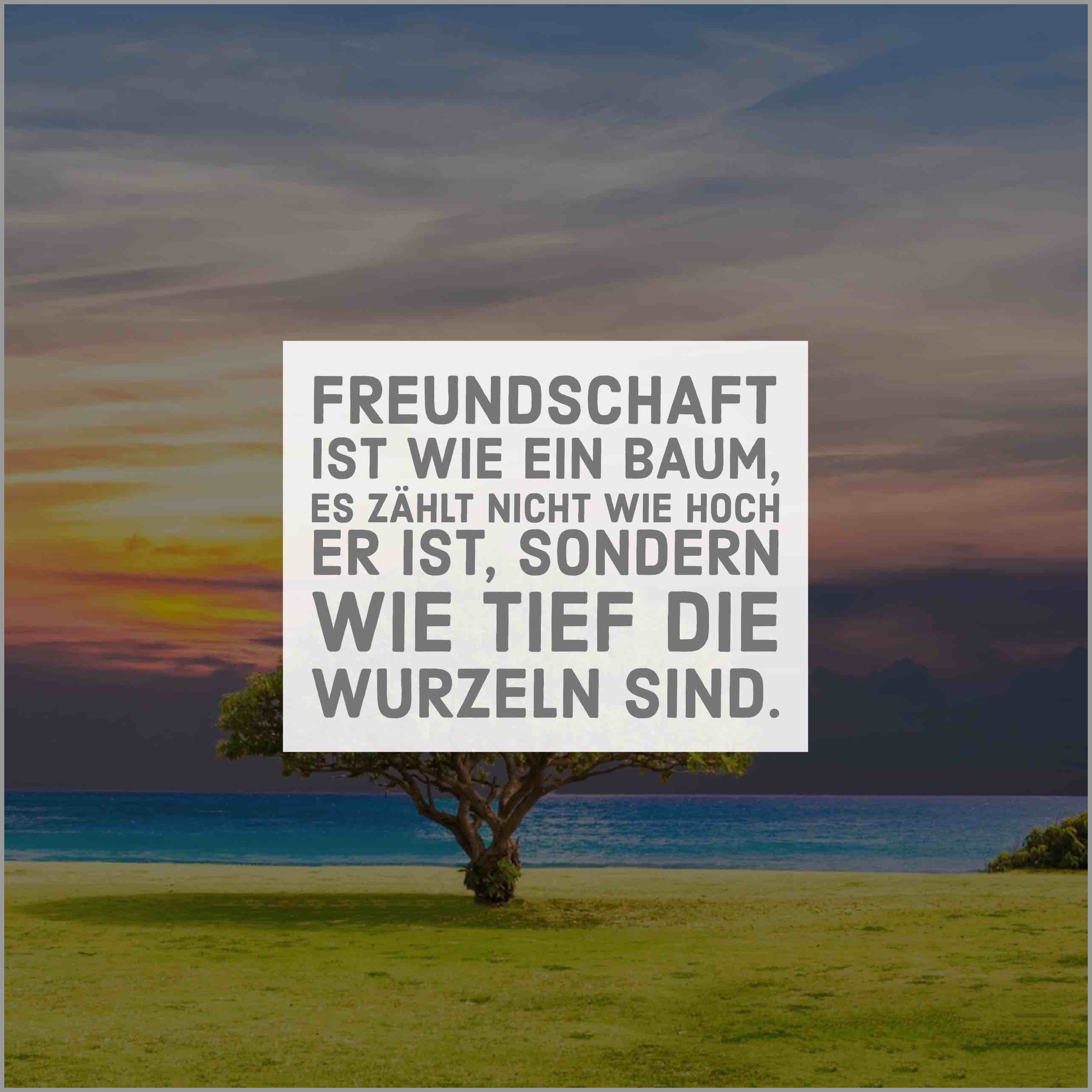Download Freundschaft baum sprueche For Android Free Freundschaft Baum Sprueche