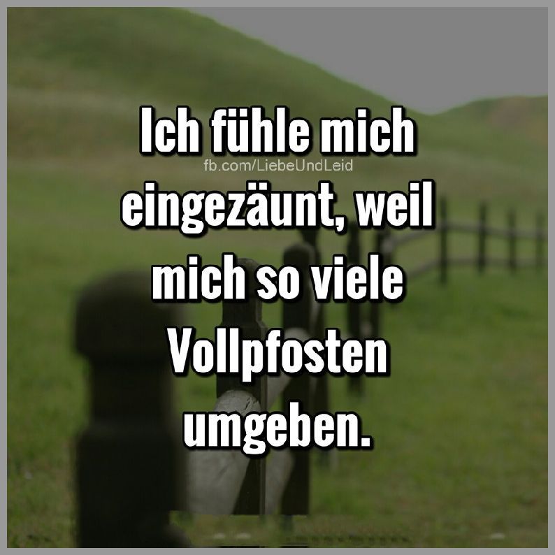 Download Vollpfosten sprueche For Android Free Vollpfosten Sprueche