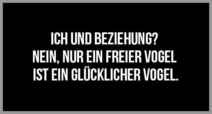 Download Freier vogel sprueche For Free