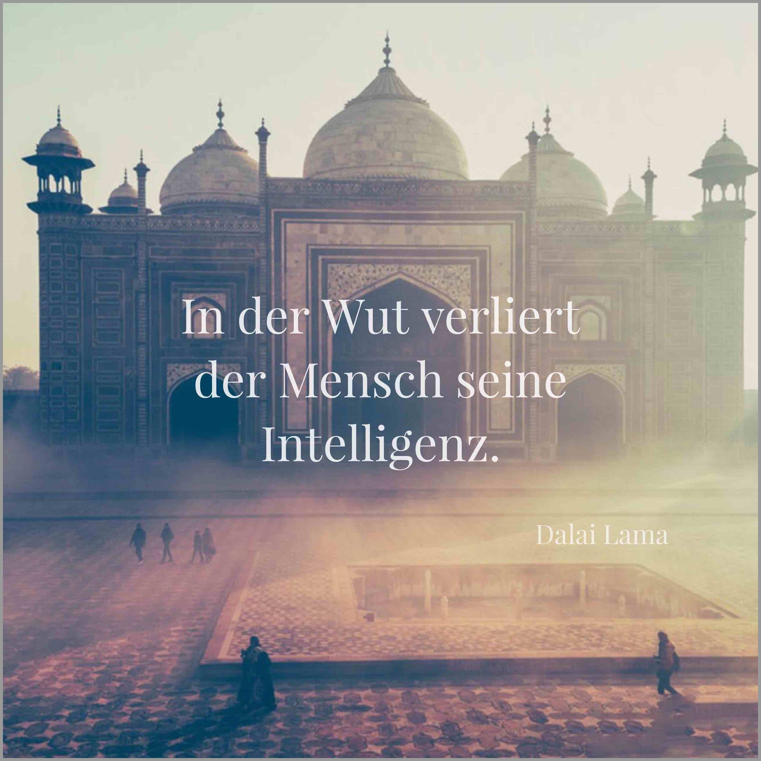 In der wut verliert der mensch seine intelligenz In der wut verliert der mensch seine intelligenz - In der wut verliert der mensch seine intelligenz