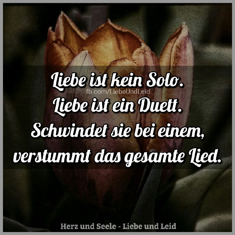 Liebe ist kein solo liebe ist ein duett Bilder und Sprüche