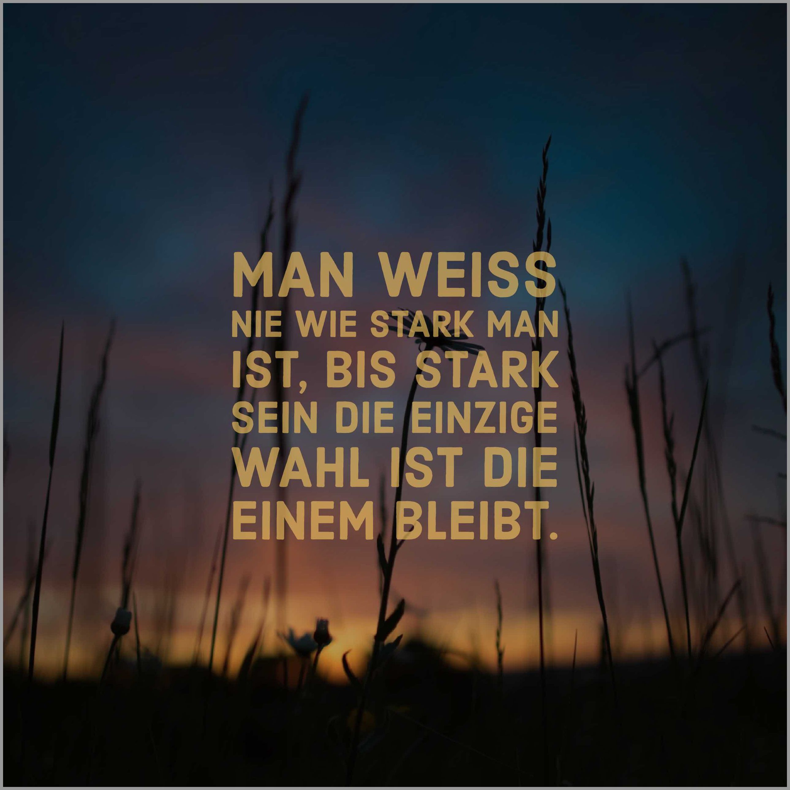Man weiss nie wie stark man ist bis stark sein die einzige wahl ist die einem bleibt Man weiss nie wie stark man ist bis stark sein die einzige wahl ist die einem bleibt - Man weiss nie wie stark man ist bis stark sein die einzige wahl ist die einem bleibt