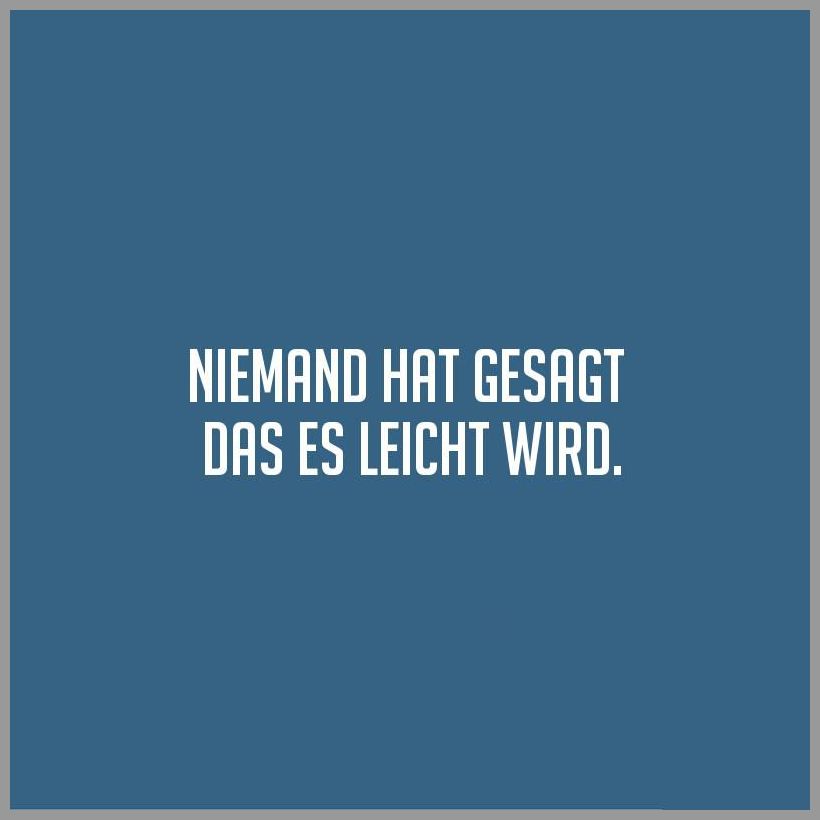 Niemand hat gesagt das es leicht wird Niemand hat gesagt das es leicht wird - Niemand hat gesagt das es leicht wird