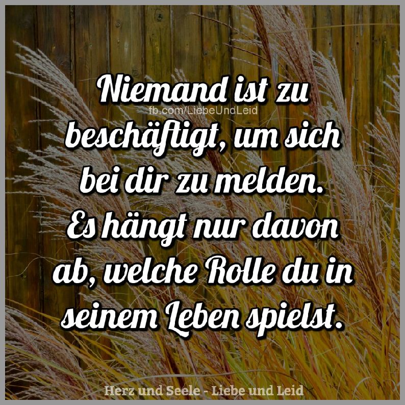 Get Niemand ist zu beschaeftigt sprueche Free HD