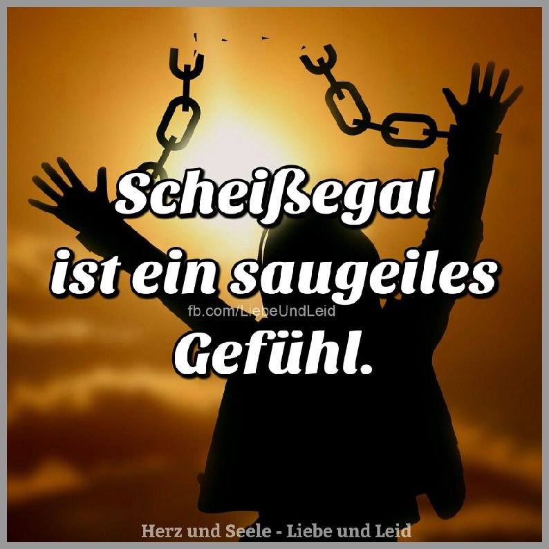Saugeiles Saugeiles
