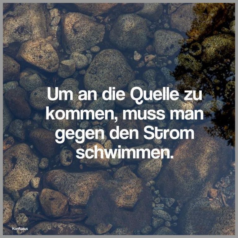 Um an die quelle zu kommen muss man gegen den strom schwimmen Bilder