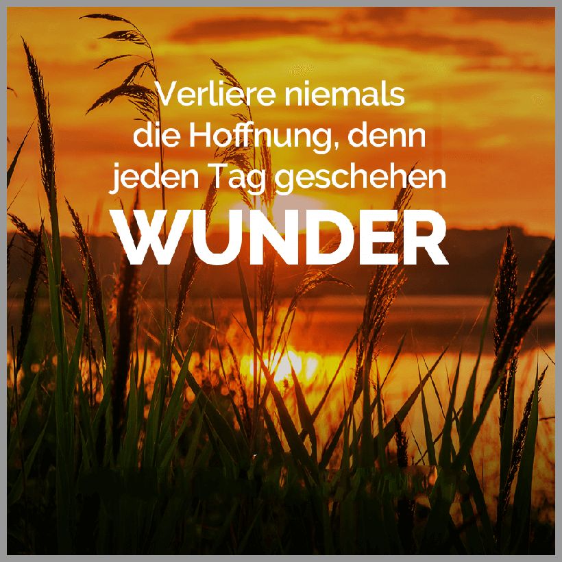 Verliere niemals die hoffnung denn jeden tag geschehen wunder Verliere niemals die hoffnung denn jeden tag geschehen wunder - Verliere niemals die hoffnung denn jeden tag geschehen wunder