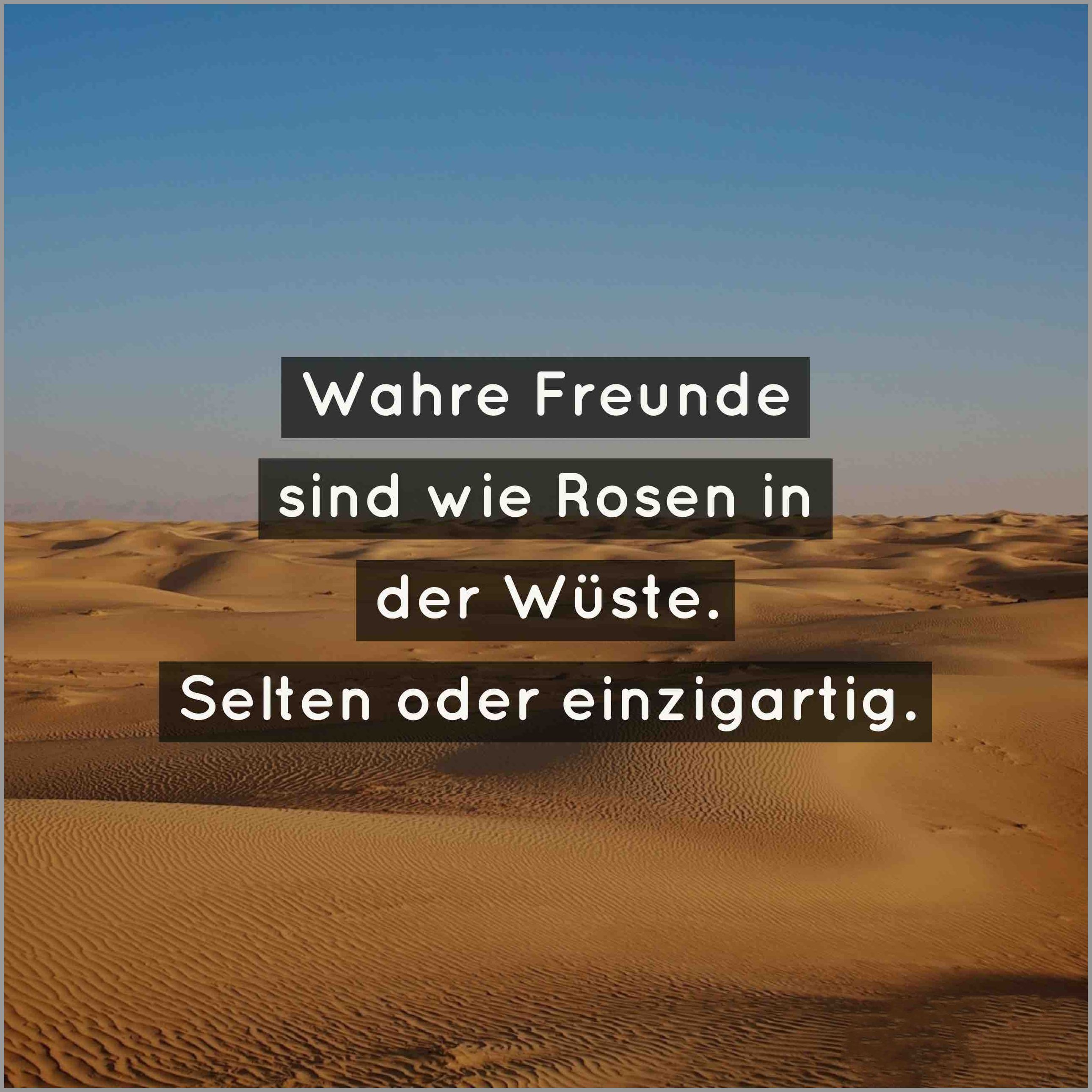 Get Wahre freunde sind HD Wahre Freunde Sind