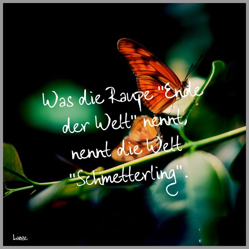 Was die raupe ende der welt nennt nennt die welt schmetterling Was die raupe ende der welt nennt nennt die welt schmetterling - Was die raupe ende der welt nennt nennt die welt schmetterling