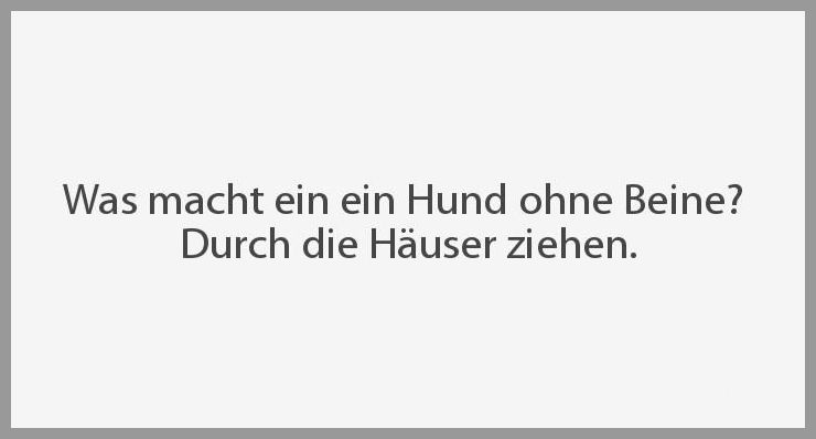 Was macht ein ein hund ohne beine durch die haeuser ziehen Was macht ein ein hund ohne beine durch die haeuser ziehen - Was macht ein ein hund ohne beine durch die haeuser ziehen