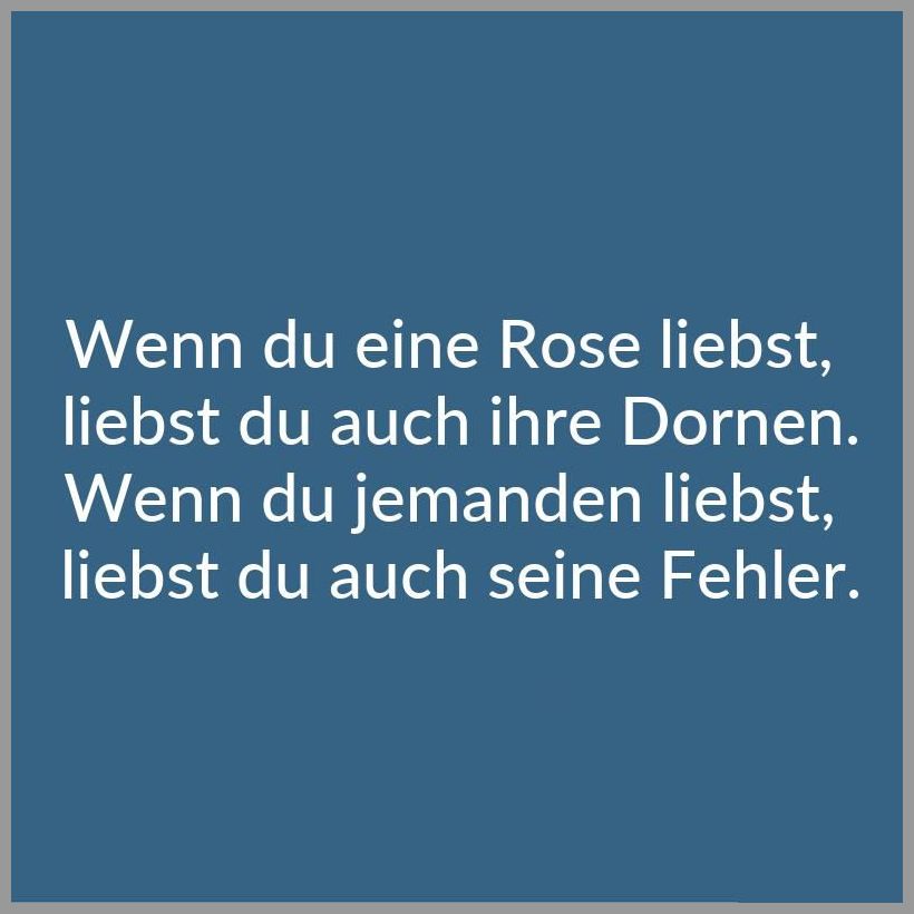 Wenn du eine rose liebst liebst du auch ihre dornen wenn du jemanden liebst liebst du auch seine fehler Wenn du eine rose liebst liebst du auch ihre dornen wenn du jemanden liebst liebst du auch seine fehler - Wenn du eine rose liebst liebst du auch ihre dornen wenn du jemanden liebst liebst du auch seine fehler