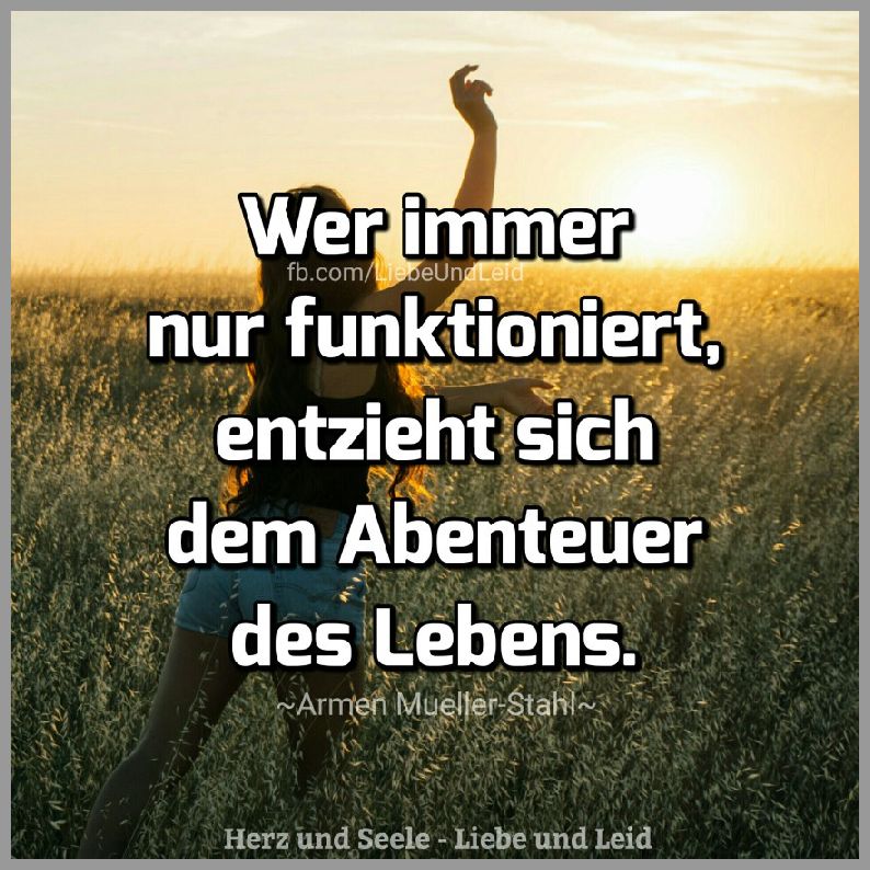 Download Immer nur funktionieren sprueche HD