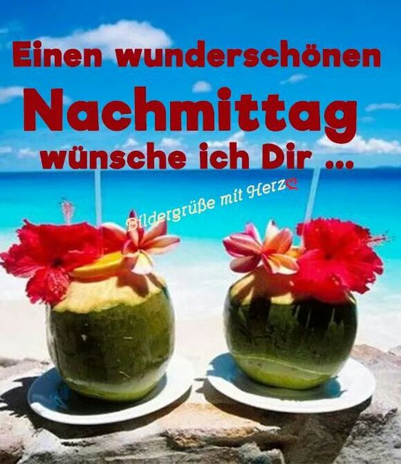 Schönen nachmittag bilder lustig