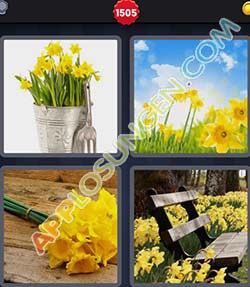 4 bilder 1 wort level 1505 lösung NARZISSE 4 bilder 1 wort level 1505 lösung NARZISSE - 4 bilder 1 wort level 1505 lösung NARZISSE