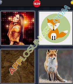 4 Bilder 1 Wort Lösung Fuchs Poker 4 Bilder 1 Wort Lösung Fuchs Poker