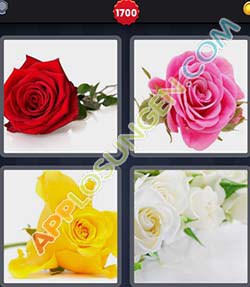 4 bilder 1 wort level 1700 lösung ROSE 4 bilder 1 wort level 1700 lösung ROSE - 4 bilder 1 wort level 1700 lösung ROSE